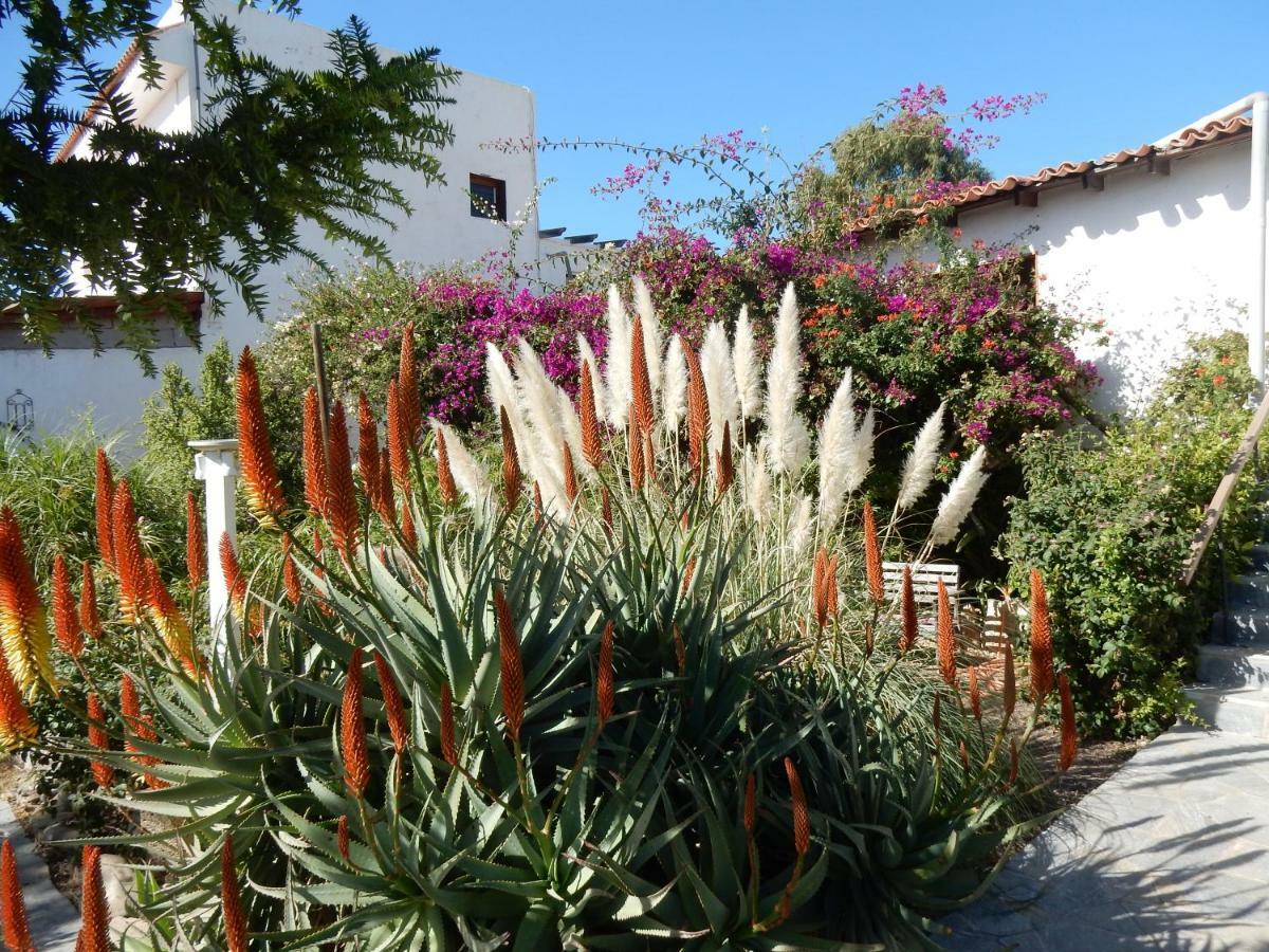 Finca Florida San Miguel de Abona Exterior foto